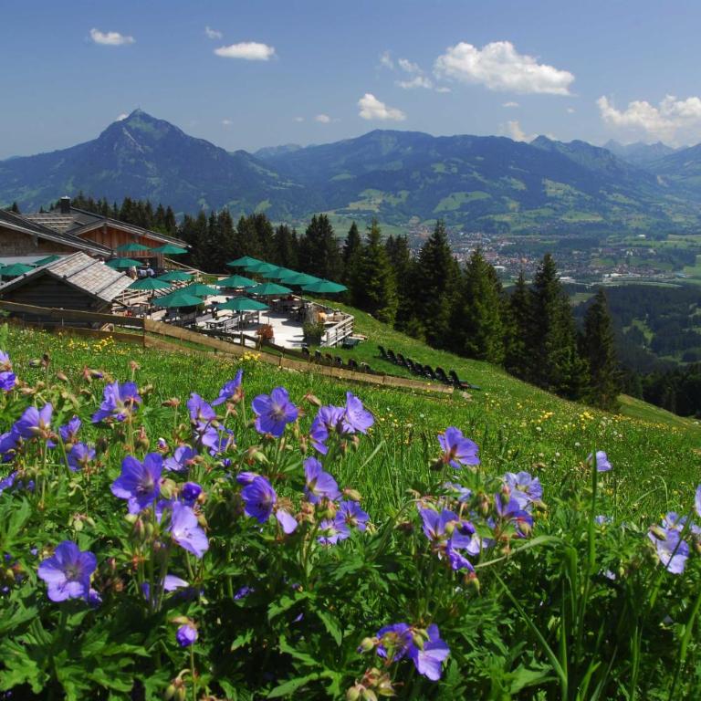 Ferienwohnungen Alpentraum - Pusteblume - Appartamento - 13