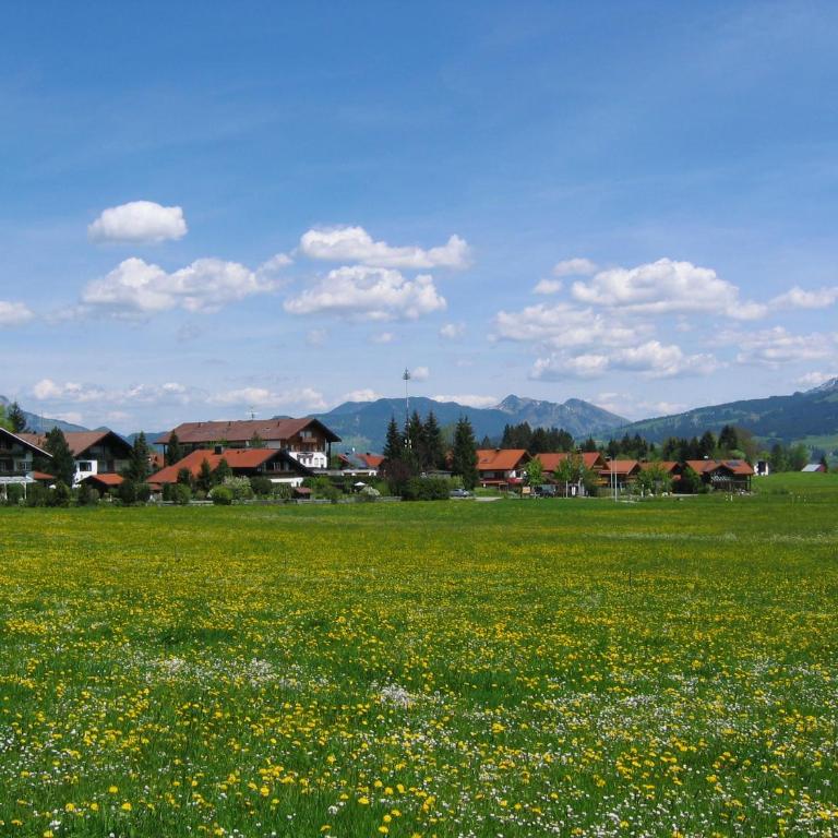 Ferienwohnungen Alpentraum - Pusteblume - Appartamento - 15