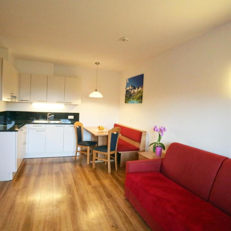 Apartment Pichlerhof - Appartamento con 1 Camera da Letto e Terrazza - 15