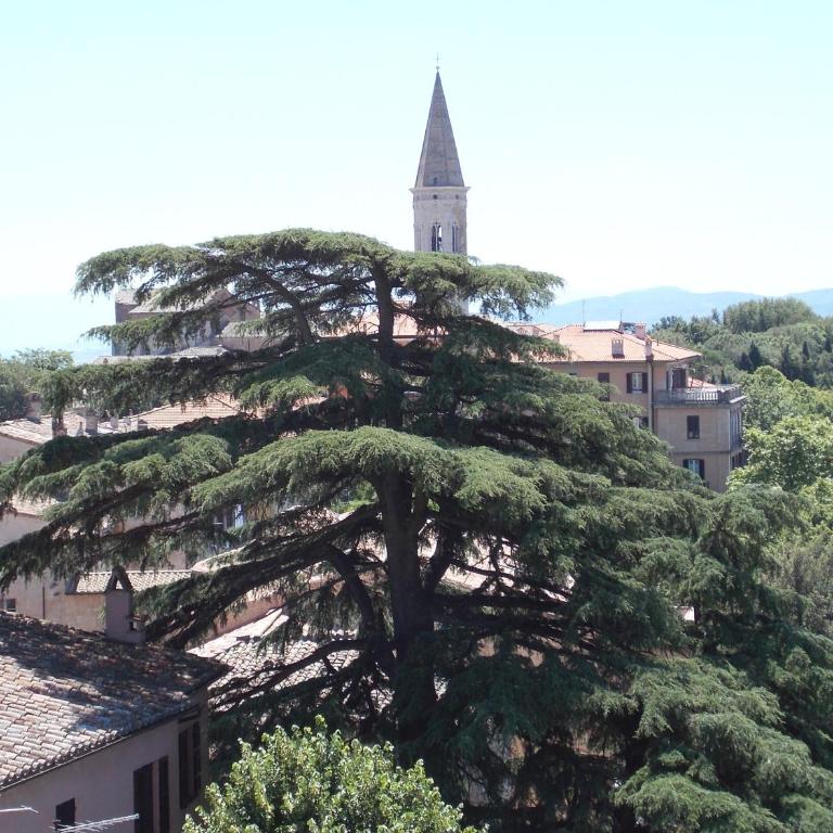 Hotel Signa - Camera Matrimoniale/Doppia con Letti Singoli con Vista - 1