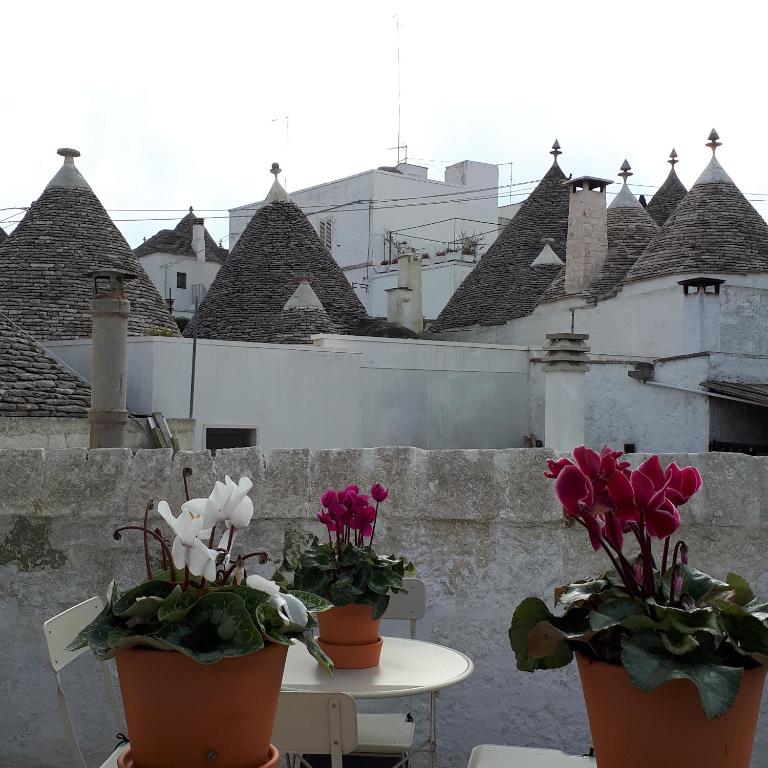 Historich house Largo Martellotta 44 - Casa Vacanze - 32