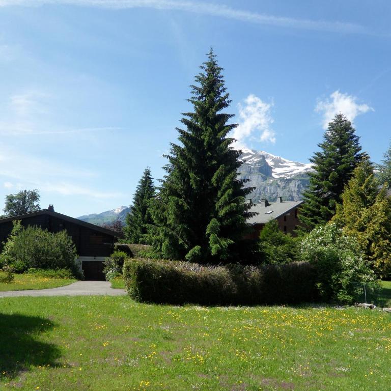 Appartement les Carroz d'Arraches - Apartamento de 1 dormitorio (6 adultos) - 25