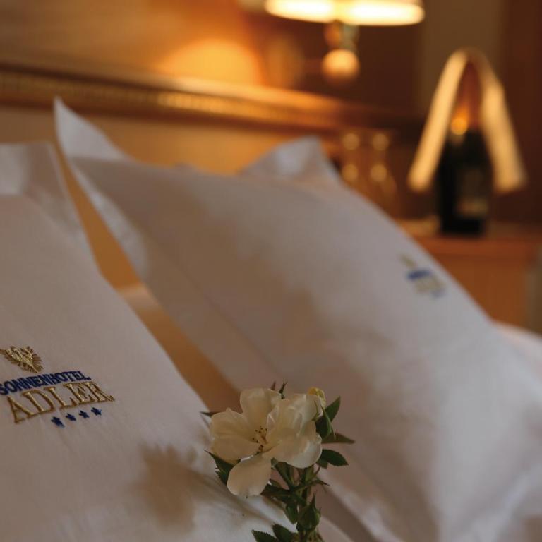 Sonnenhotel Adler Spa & Nature Adults only - Doppelzimmer im Nebengebäude - 8