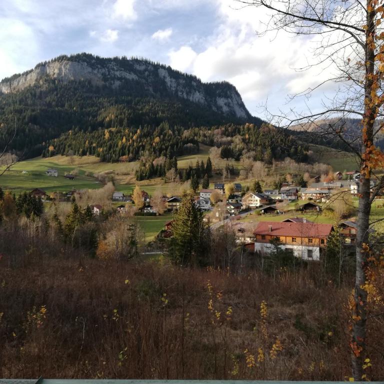 Appartement Schneerose - Apartment - 21