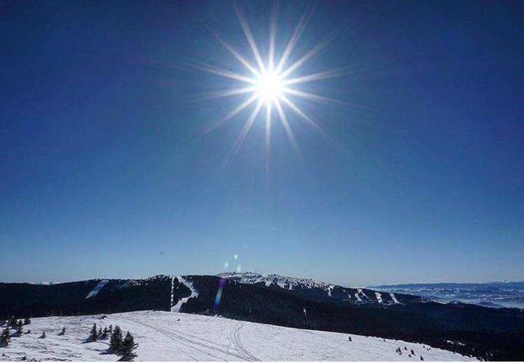 Family Apartment 5 Lux Vidik Kopaonik - Apartment - 36