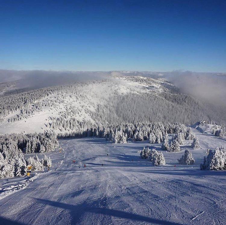 Family Apartment 5 Lux Vidik Kopaonik - Apartment - 28