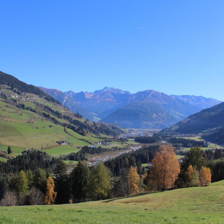Volggerhof - Appartamento - 17