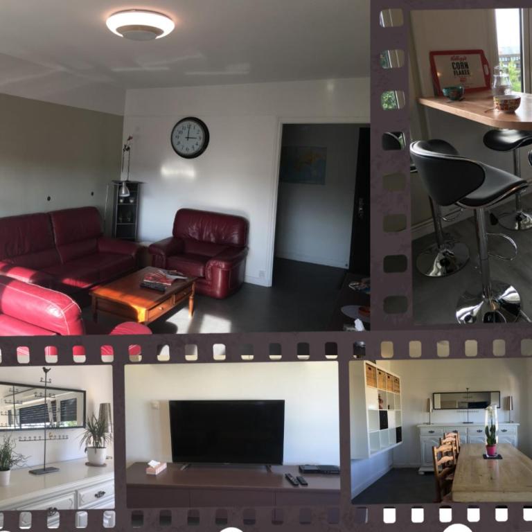 BedinReims elegant green bottle quiet and close to center free parking and wifi free ideal 5 à 9 Adultes - Appartamento Deluxe - 18