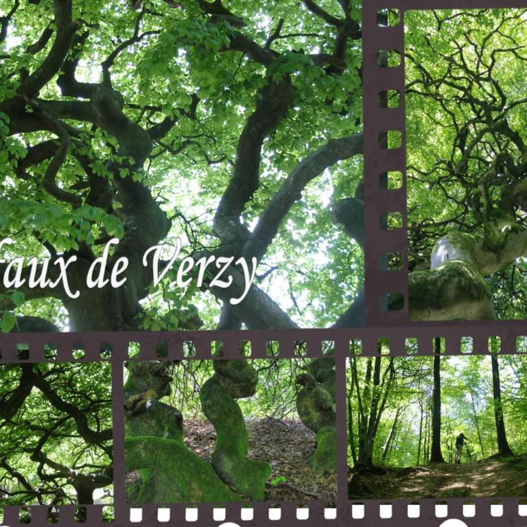 BedinReims elegant green bottle quiet and close to center free parking and wifi free ideal 5 à 9 Adultes - Appartamento Deluxe - 56