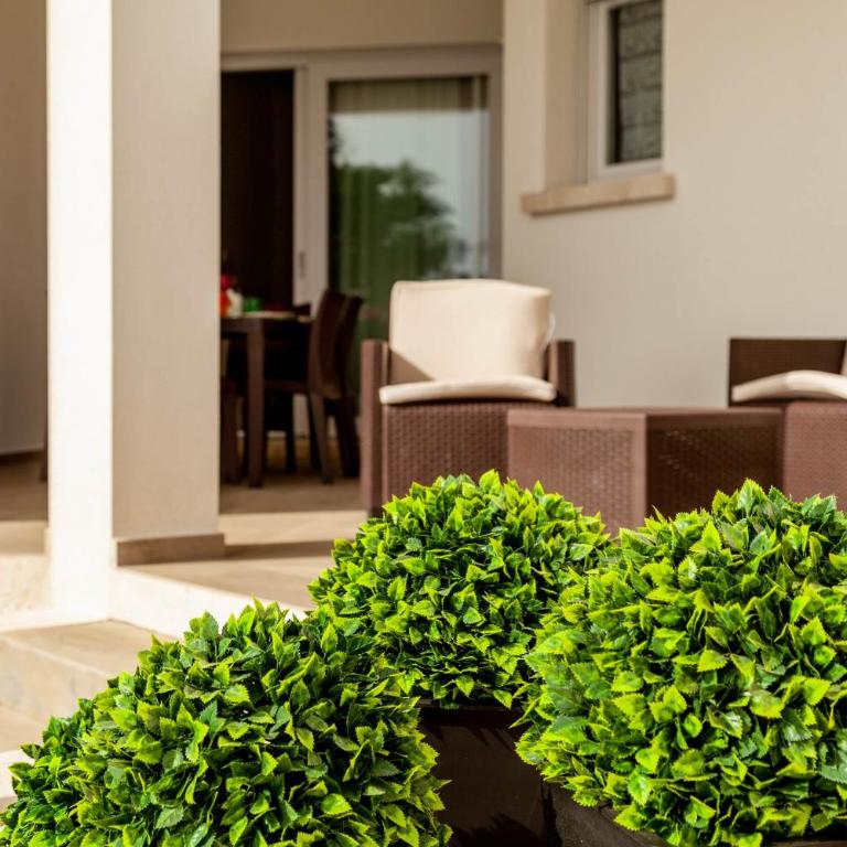 Caneis Apartments - Appartamento - Piano Terra - 3