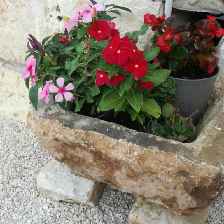 Trullo Nonna Mari - Appartamento - 43