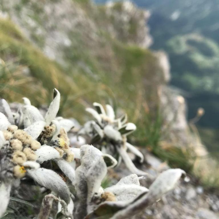 San Marco FARMHOUSE with a view. - Appartamento con Vista Montagna - 37