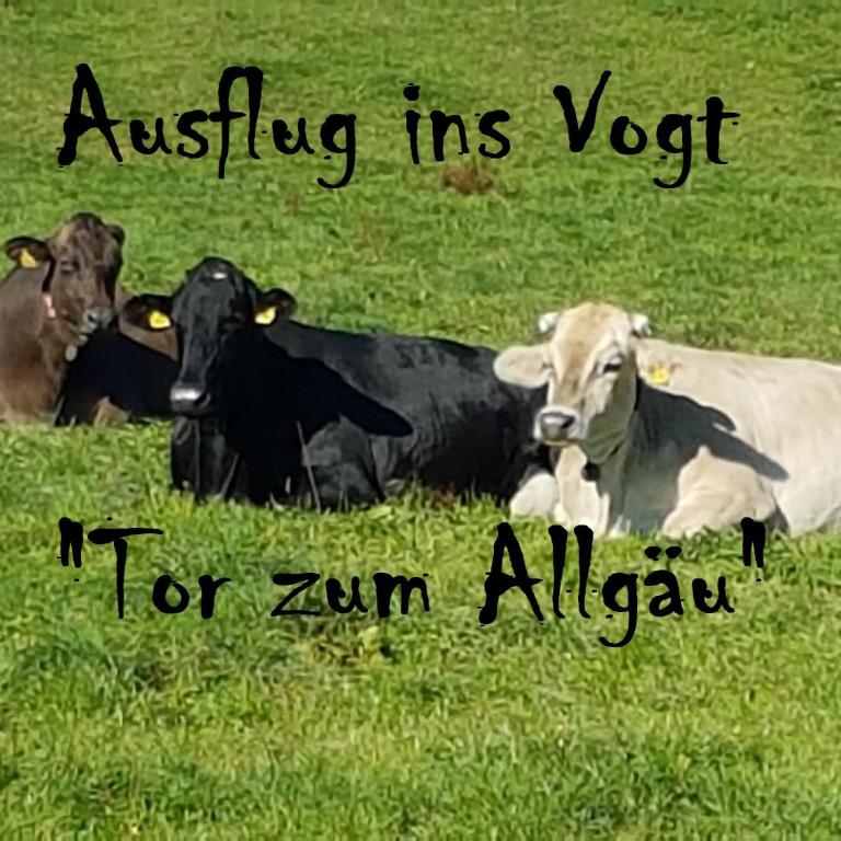Adam & Eva Gasthof Paradies mit Hotel - Doppelzimmer - 4