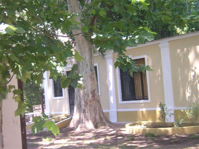 Hotel Totoral - Casa de 2 dormitorios - 18