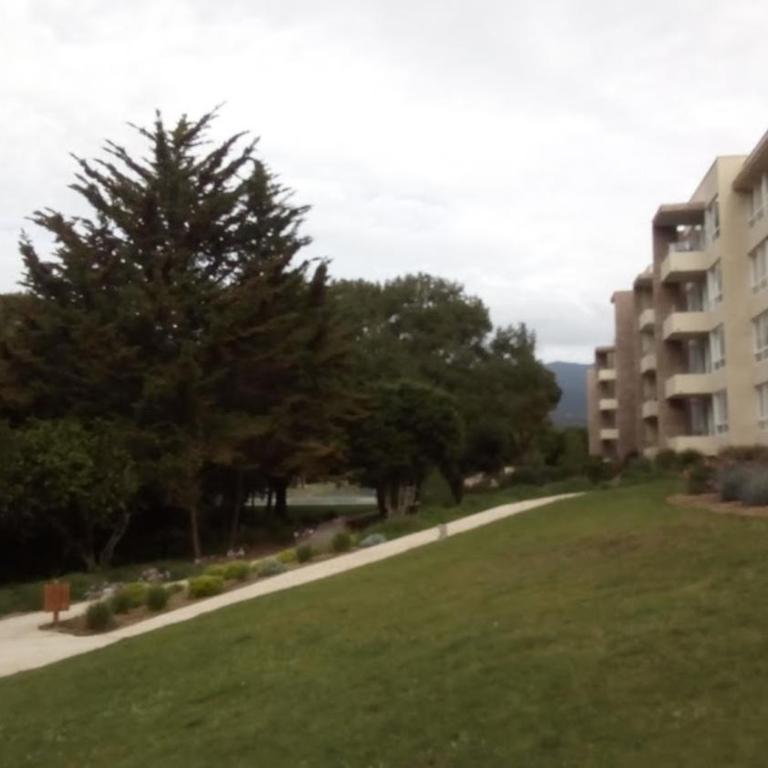 Bosque Playa Lomas de Papudo 3 - Apartamento de 3 dormitorios - 1