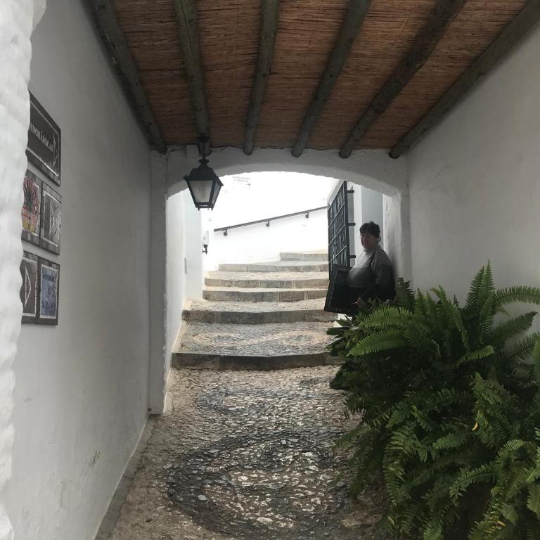 Algarabí - Casa - 40