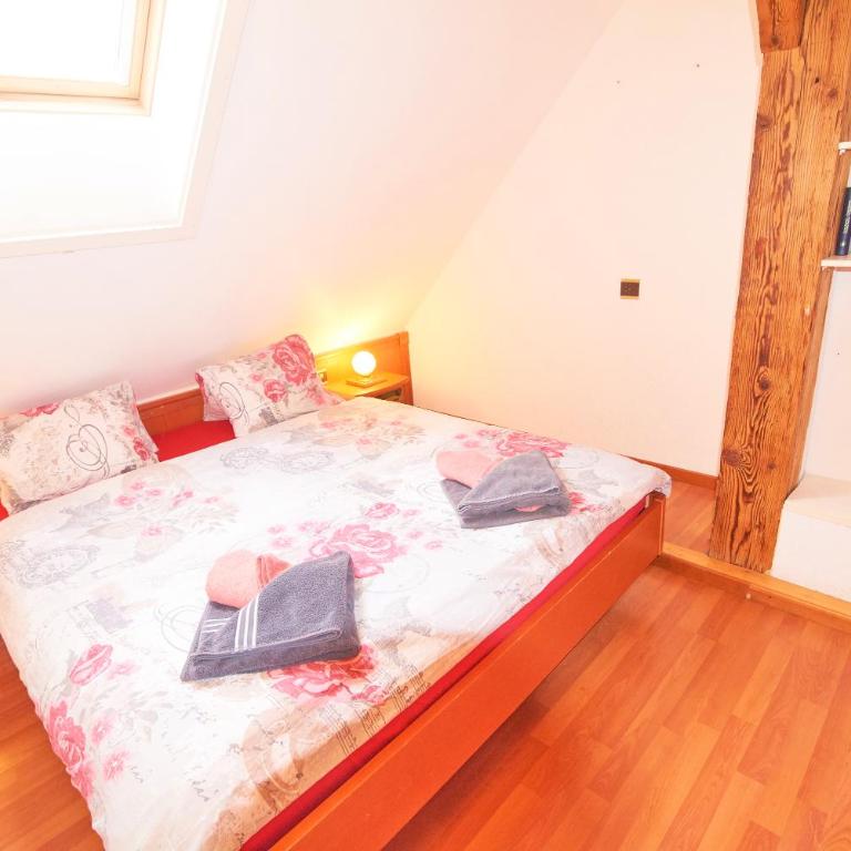 Residence Jungfrau - Appartement Jungfrau - 4