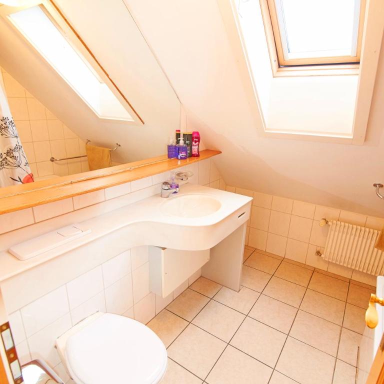 Residence Jungfrau - Appartement Jungfrau - 3