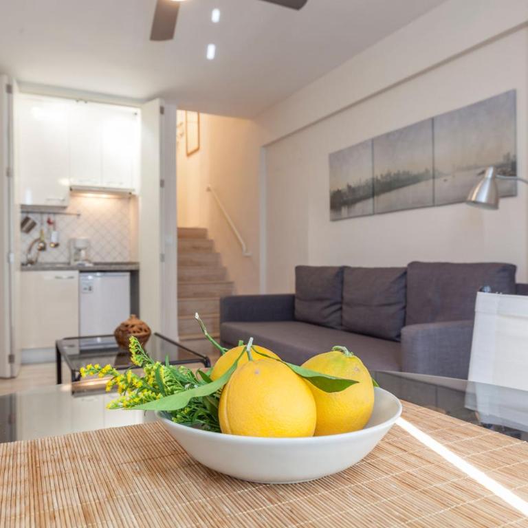 Loft con magnificas vistas centro Sevilla - Apartamento Estudio - 21