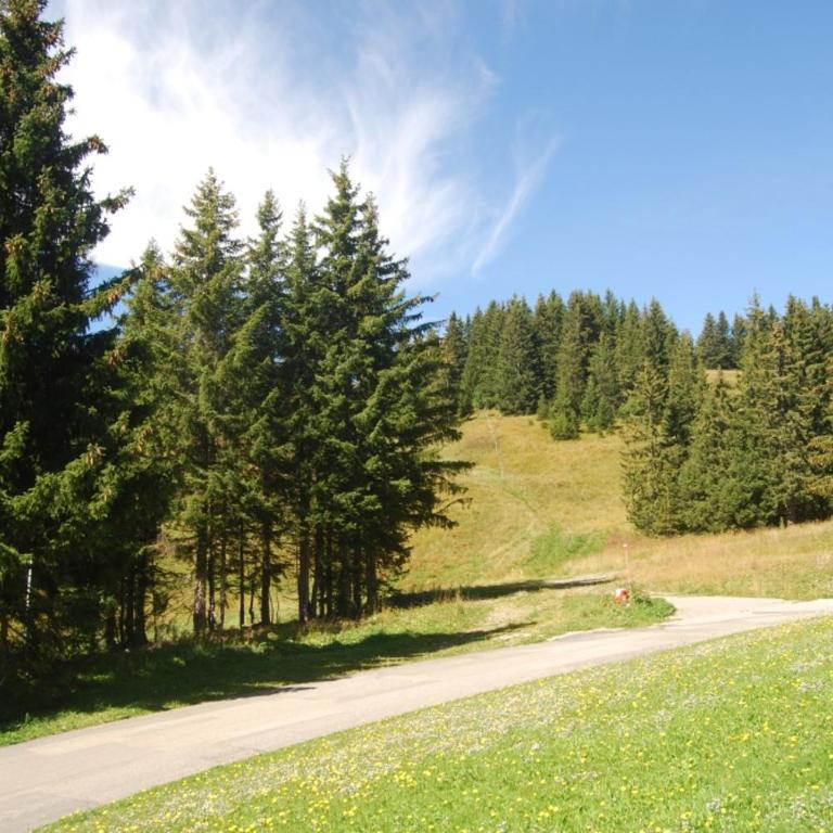 LE Refuge 4005 - Appartement 1 Chambre - 6