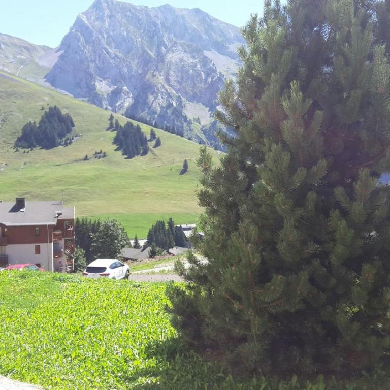 MONT BLANC Soleil C-4 - Appartement 1 Chambre - 11