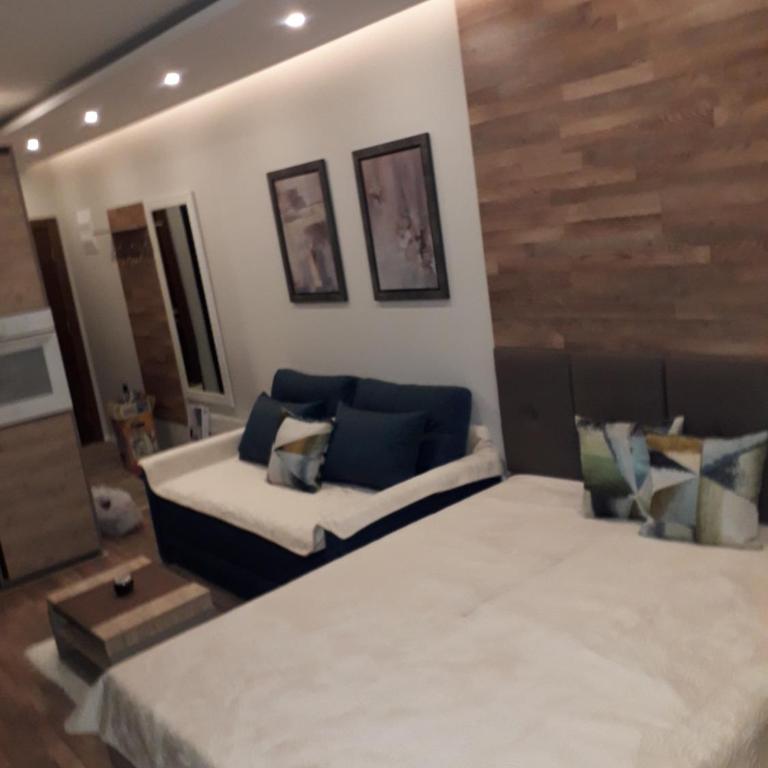 Apartman Lux Premier 09 Kopaonik - Studio Apartment - 35