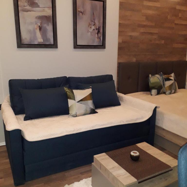Apartman Lux Premier 09 Kopaonik - Studio Apartment - 38
