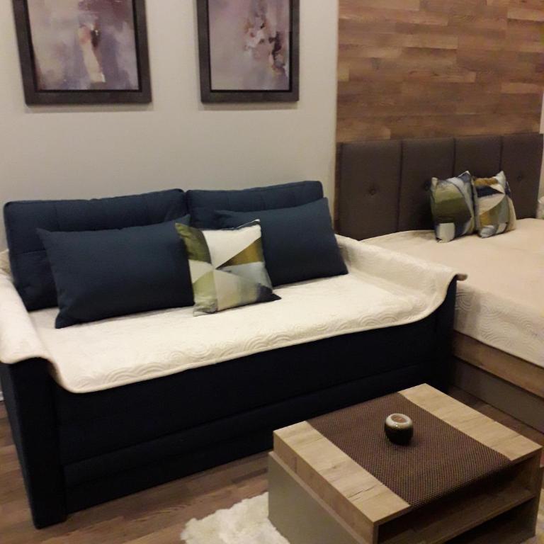 Apartman Lux Premier 09 Kopaonik - Studio Apartment - 33
