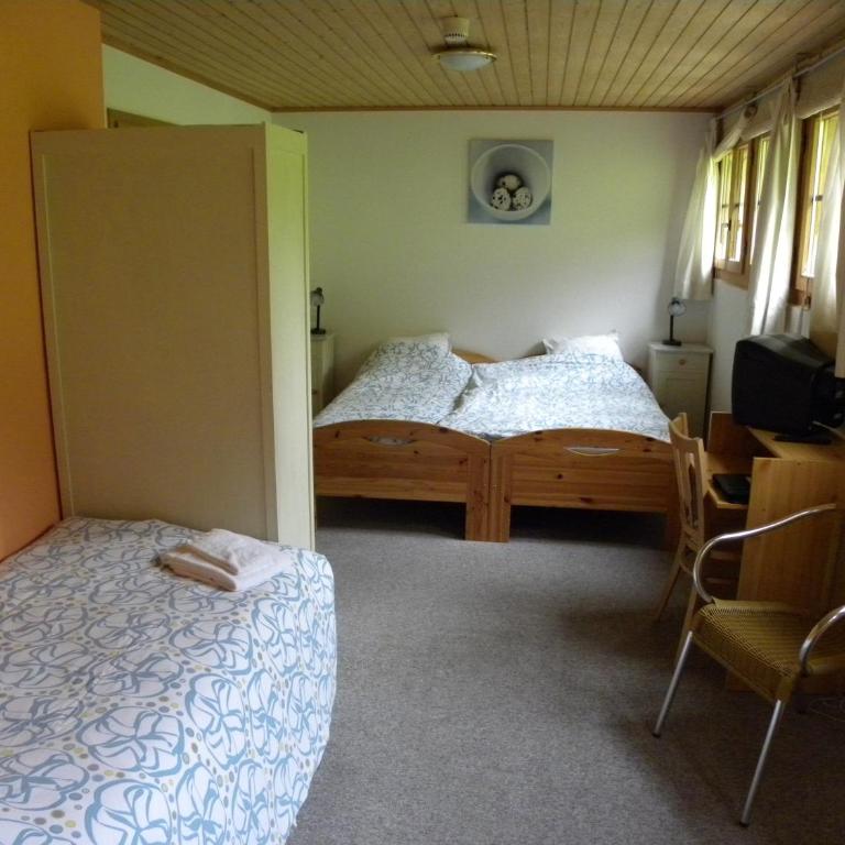 Hotel Restaurant Walliser Sonne - Dreibettzimmer - 4