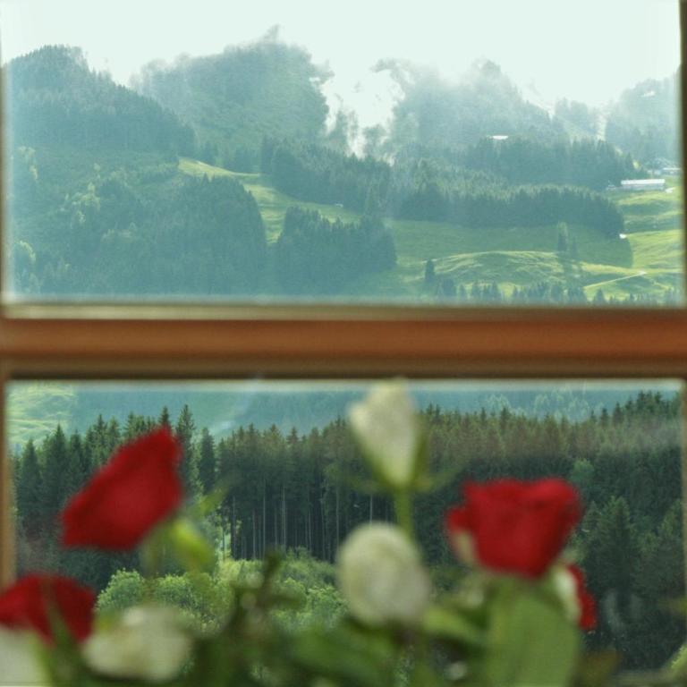 Landhaus Alpenhof - Apartment with Balcony - 4