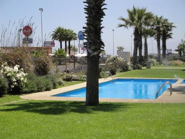 DEPTO 1RA LINEA FRENTE AL MAR Condominio Palmar 4P - Apartamento - 16
