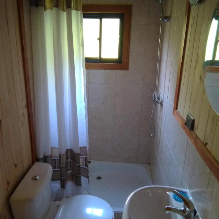 Cabanas Valdivia - Tres Espinos - camino a Niebla - Casa con 1 dormitorio - 5