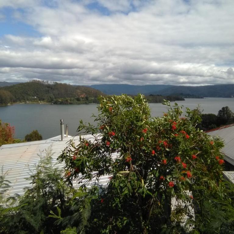 Cabanas Valdivia - Tres Espinos - camino a Niebla - Casa de 2 dormitorios - 5