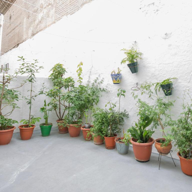 Apartamento Albaycin Granada - Apartment - 8
