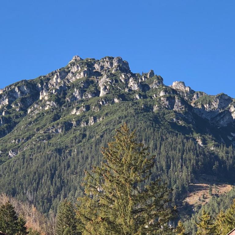 Studio Loisachtal - Apartment - Erdgeschoss - 46