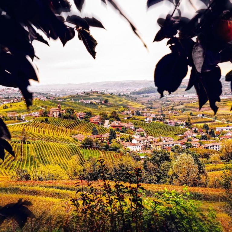 Sul Bric Dei Capalot - Appartamento - Piano Terra - 2