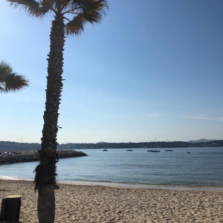 Les balcons de Bandol Centre ville avec vue mer et face à la plage - Studio - 14