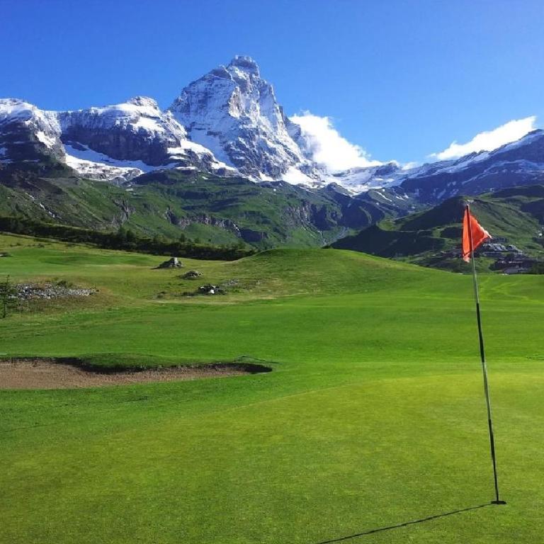La stella alpina Cervinia Vda Vacanze in Vetta CIR 0250 - Appartamento con 1 Camera da Letto - 65