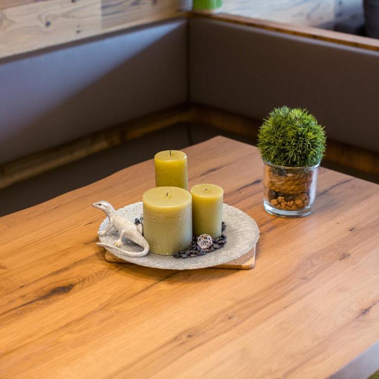 Apartments Adlerhorst Top 2 Zell am See with private sauna and in summer Zell am See Kaprun summercard - Apartment Top 2 mit 2 Schlafzimmern und Terrasse (4 Erwachsene + 2 Kinder) - 31