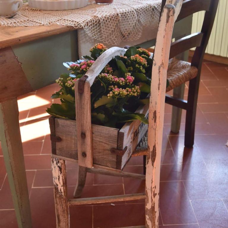 Country Hill B&B - Appartamento con Vista Giardino - 8