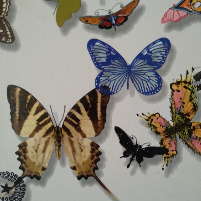 SEVILLA BUTTERFLY SUITES - Apartamento - 21