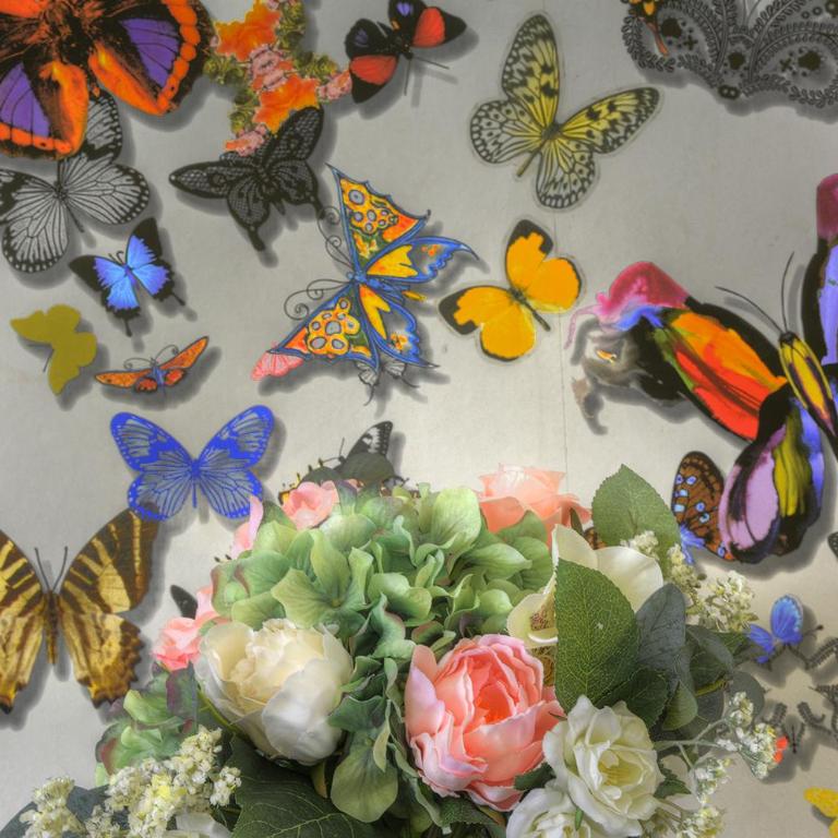 SEVILLA BUTTERFLY SUITES - Apartamento - 10