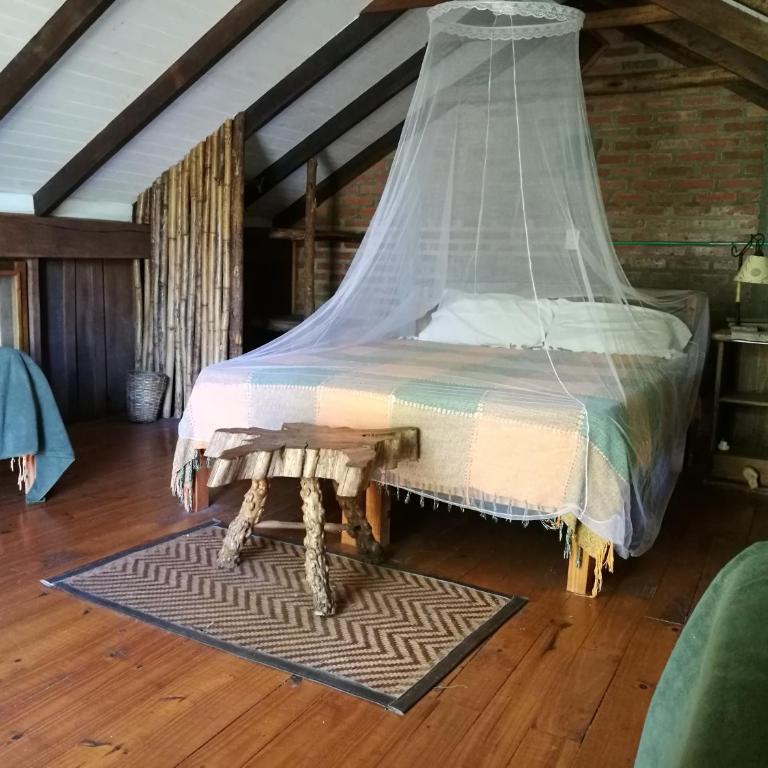 Tacuapí Lodge - Family Bungalow - 2