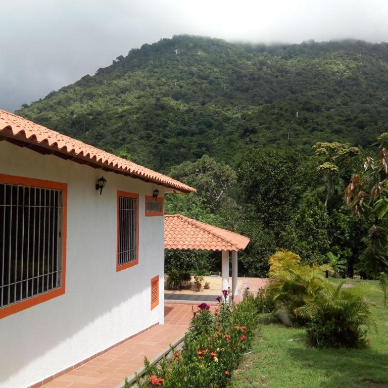 Cabañas Ecoturísticas Mi Terruño Tayrona - Habitación Familiar con vistas al jardín - 15