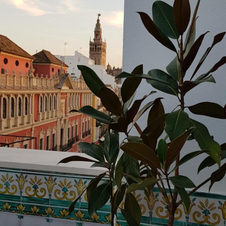Lux Home - Sierpes Terrace - Apartamento Ático Dúplex con terraza privada - 18