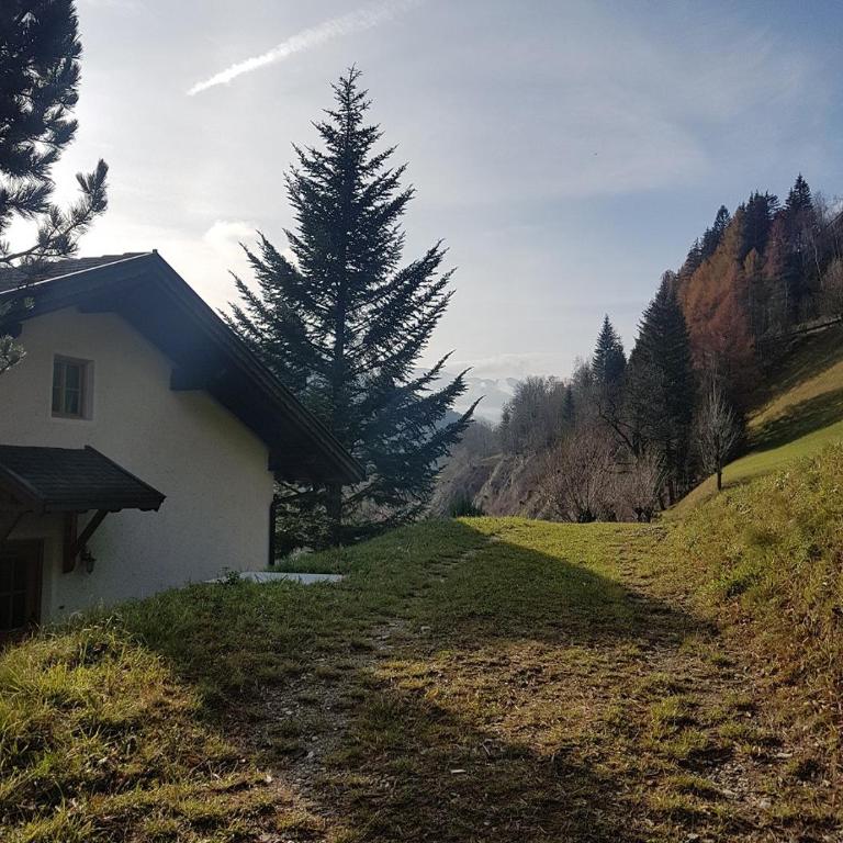 Temblhof - Apartment - 16