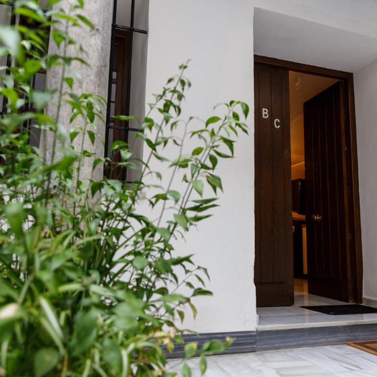 Meraki Suites Dauro - Apartment - Ground Floor - 23