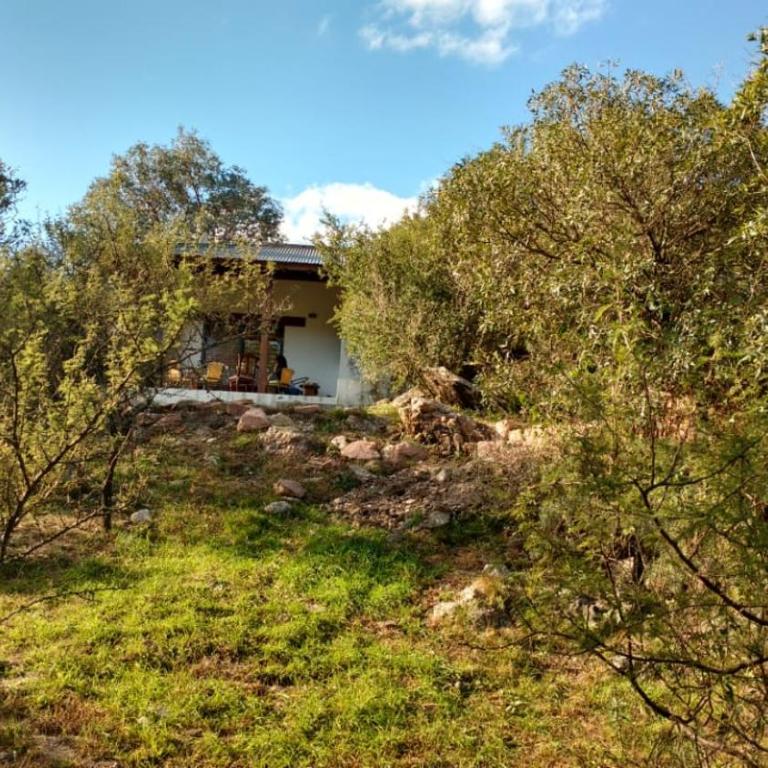 Cuesta los Robles -Casas Serranas- - Casa de 2 dormitorios - 5