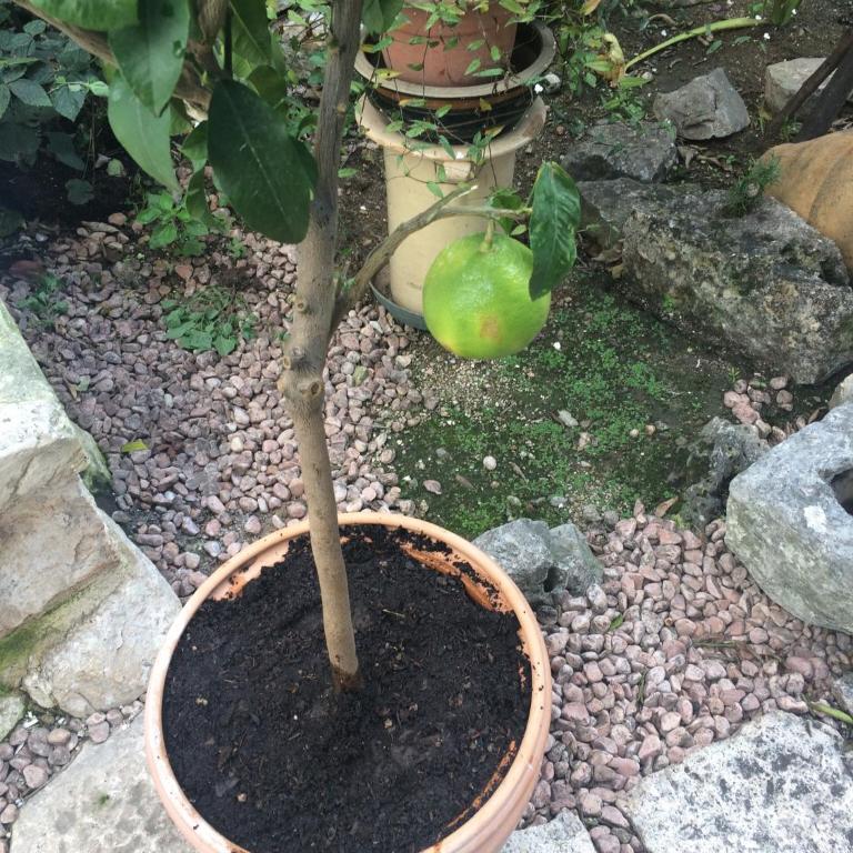Dimora Le Zagare - Appartamento - 32