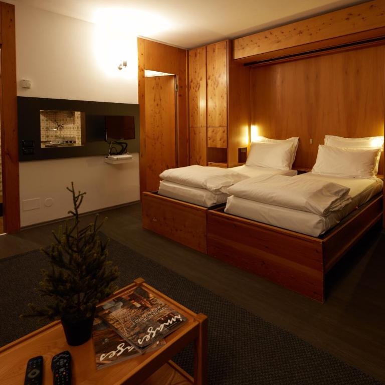 BASE CAMP alpine apartments - Studio with Balcony and Mountain View - 7